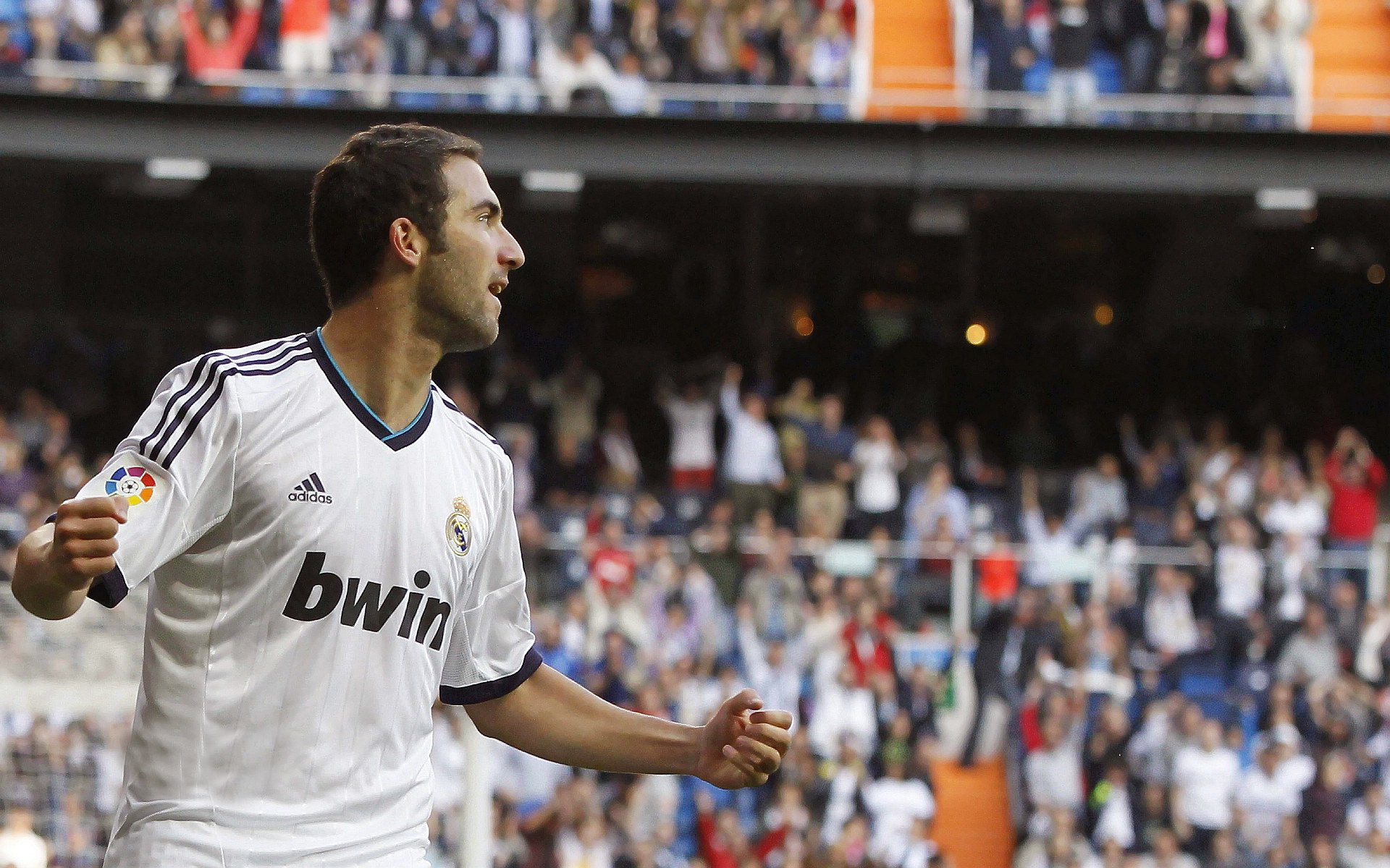 美国马术协会建立马匹基因数据库，促进马匹选育与训练。，美国马术比赛